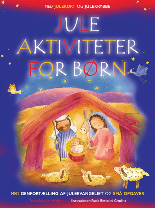 Juleaktiviteter for børn - Sally Ann Wright - Books - Lohse - 9788756461405 - October 8, 2011