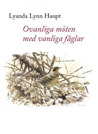 Cover for Lyanda Lynn Haupt · Ovanliga möten med vanliga fåglar (Gebundesens Buch) (2008)