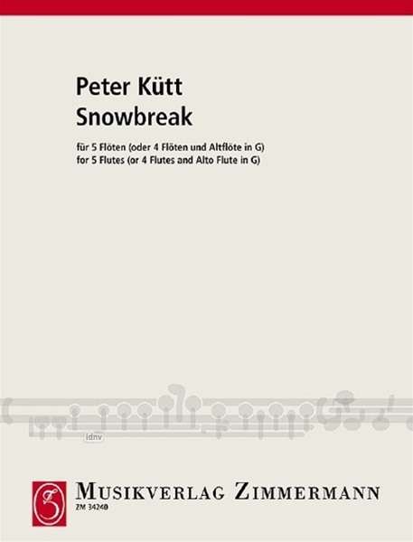 Cover for Kütt · Snowbreak,5Fl (Bok)