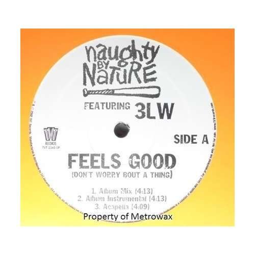 Cover for Naughty by Nature · Feels Good (12&quot;) (2002)