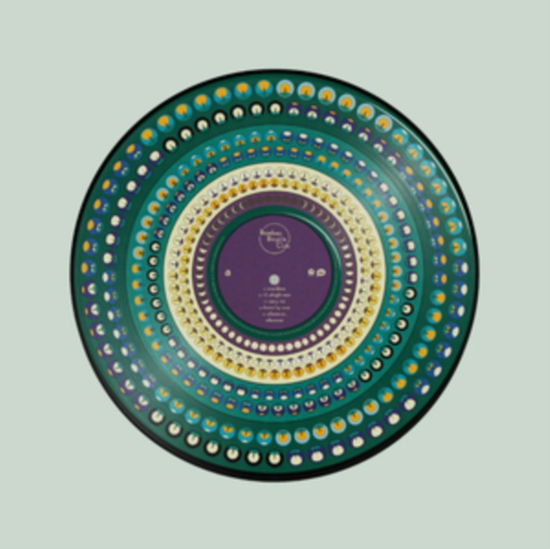 Cover for Bombay Bicycle Club · So Long. See You Tomorrow (10th Anniversary Edition) (Picture Disc) (LP) [Picture Disc edition] (2024)