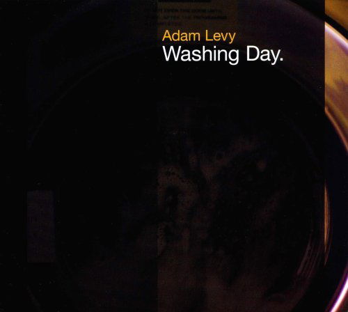 Washing Day - Adam Levy - Música - LOST WAX - 0700261217406 - 20 de septiembre de 2007