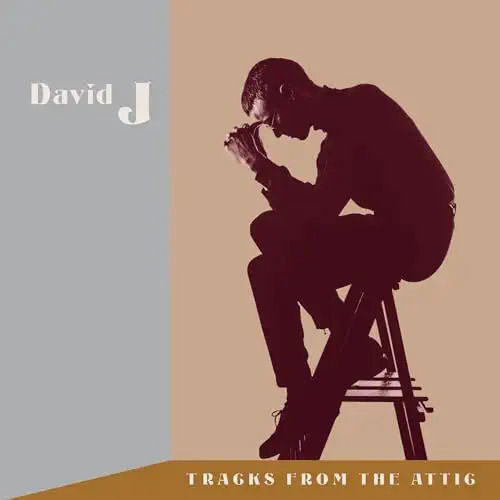 Tracks from the Attic - David J - Muziek - Independent Project Records - 0761971508406 - 3 mei 2024
