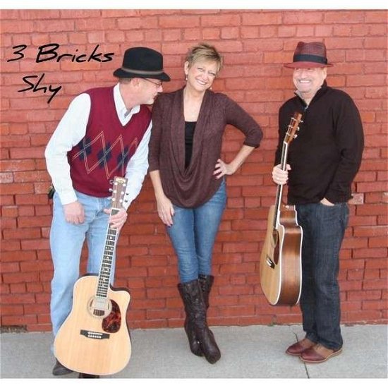 Cover for 3 Bricks Shy (CD) (2013)