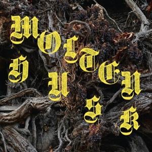 Cover for Abest · Molten Husk (CD) (2022)