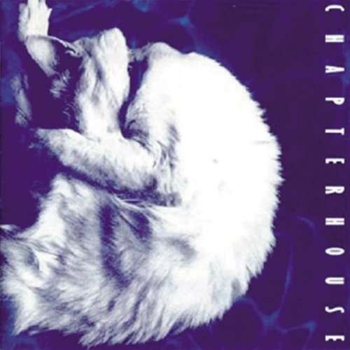 Cover for Chapterhouse · Whirlpool + 7 (CD) (1990)