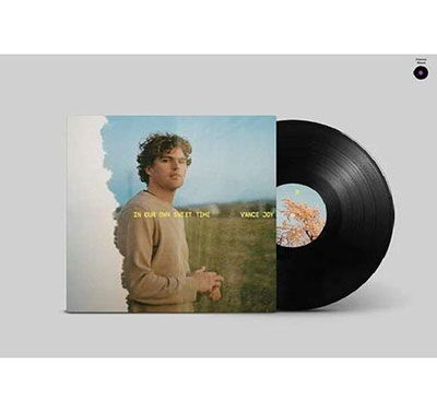 Cover for Vance Joy · In Our Own Sweet Time (LP) (2022)