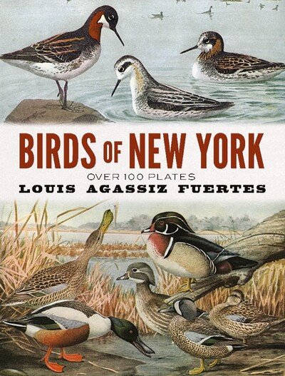 Cover for Louis Agassiz Fuertes · Birds of New York: Over 100 Plates (Paperback Book) (2019)