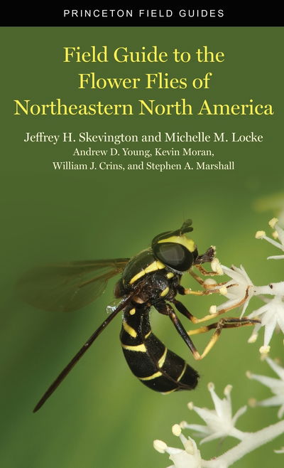 Field Guide to the Flower Flies of Northeastern North America - Princeton Field Guides - Jeffrey H Skevington - Kirjat - Princeton University Press - 9780691189406 - tiistai 14. toukokuuta 2019
