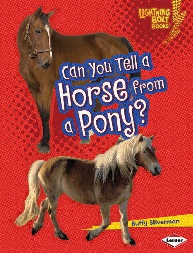 Can You Tell a Horse from a Pony? (Lightning Bolt Books: Animal Look-alikes) - Buffy Silverman - Libros - 21st Century - 9780761367406 - 2012