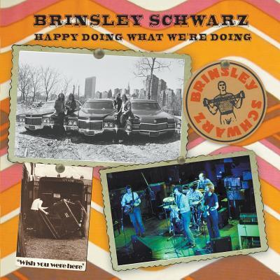 Cover for John Blaney · Brinsley Schwarz: Happy Doing What We're Doing (Taschenbuch) (2016)