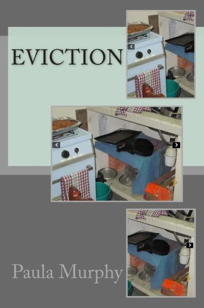 Cover for Paula Murphy · Eviction (Pocketbok) (2013)