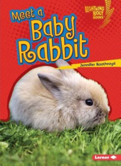 Cover for Jennifer Boothroyd · Meet a Baby Rabbit (Book) (2016)