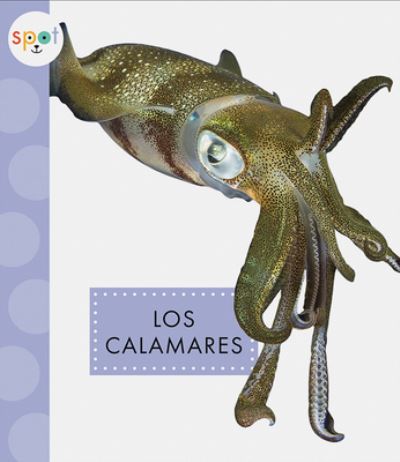 Los Calamares - Mari Schuh - Books - Amicus - 9781681527406 - July 13, 2021