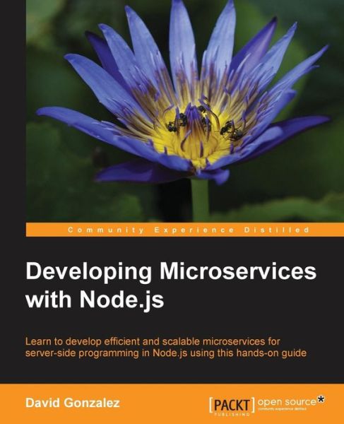 Cover for David Gonzalez · Developing Microservices with Node.js (Book) (2016)