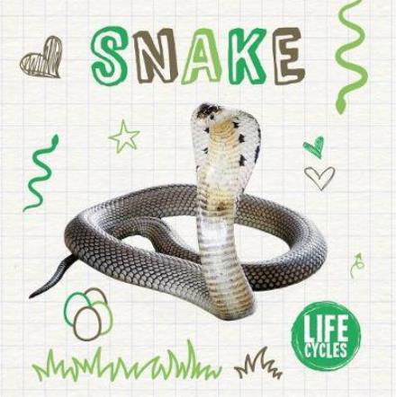 Cover for Holly Duhig · Snake - Life Cycles (Hardcover bog) (2018)