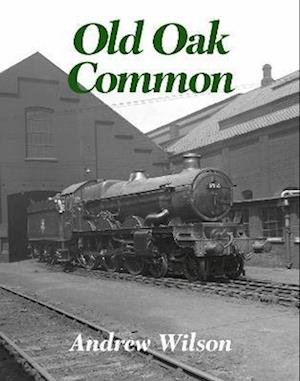 Old Oak Common - Andrew Wilson - Bøger - Transport Treasury Publishing Ltd - 9781913251406 - 25. oktober 2022