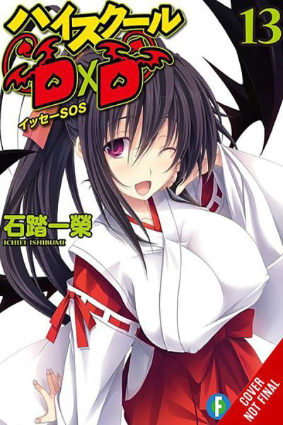 High School DxD, Vol. 13 (light novel) - Ichiei Ishibumi - Boeken - Little, Brown & Company - 9781975350406 - 16 april 2024