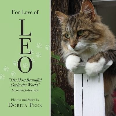 Cover for Dorita Peer · For Love of Leo (Paperback Book) (2019)