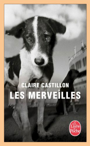 Cover for Claire Castillon · Les merveilles (Paperback Book) [French edition] (2013)