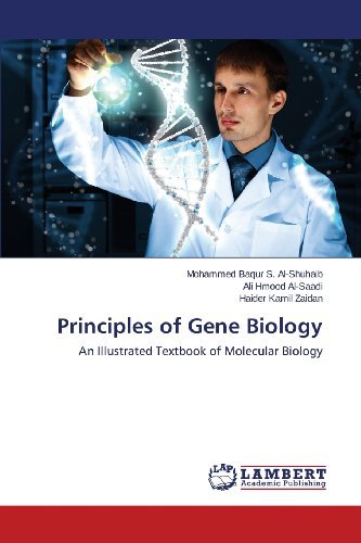 Cover for Haider Kamil Zaidan · Principles of Gene Biology: an Illustrated Textbook of Molecular Biology (Paperback Book) (2013)