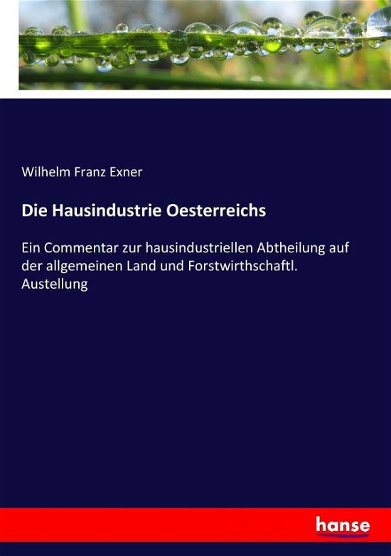 Die Hausindustrie Oesterreichs - Exner - Livres -  - 9783743643406 - 17 janvier 2017