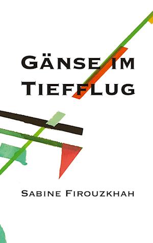 Cover for Sabine Firouzkhah · Gänse im Tiefflug (Book) (2024)