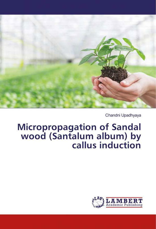 Cover for Upadhyaya · Micropropagation of Sandal wo (Book)