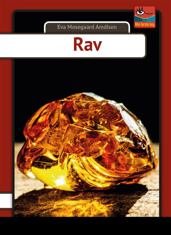 Cover for Eva Mosegaard Amdisen · Min første bog: Rav (Gebundenes Buch) [1. Ausgabe] (2018)
