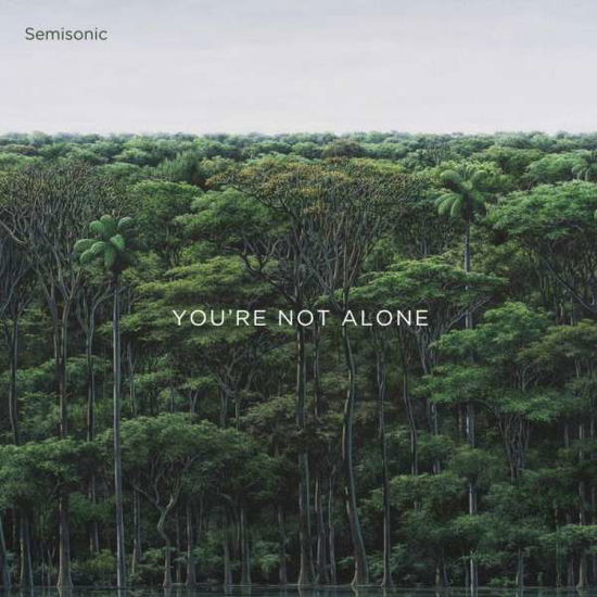 Youre Not Alone - Semisonic - Musiikki - PLEASURESONIC RECORDINGS - 0020286232407 - perjantai 18. syyskuuta 2020