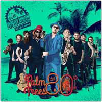 Palm Trees and 80 Degrees - The Dualers - Music - SUNBEAT RECORDS - 0604565304407 - July 26, 2019