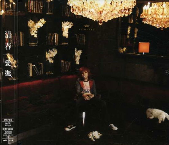 Cover for Kiyoharu · Aibu (CD) [Japan Import edition] (2008)