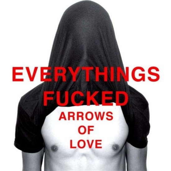 Cover for Arrows Of Love · Everythings Fucked (VINIL) (2018)