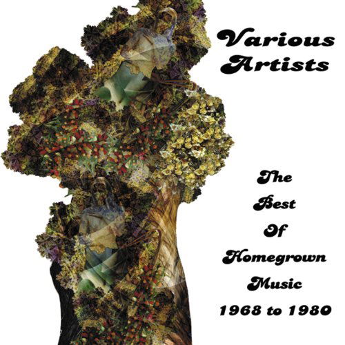 Cover for Best of Homegrown Music · The Best of Homegrown Music 1968 - 1980 (CD) (2019)