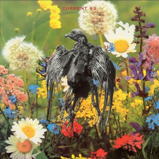 Current 93 · Swastikas For Noddy (LP) (2024)