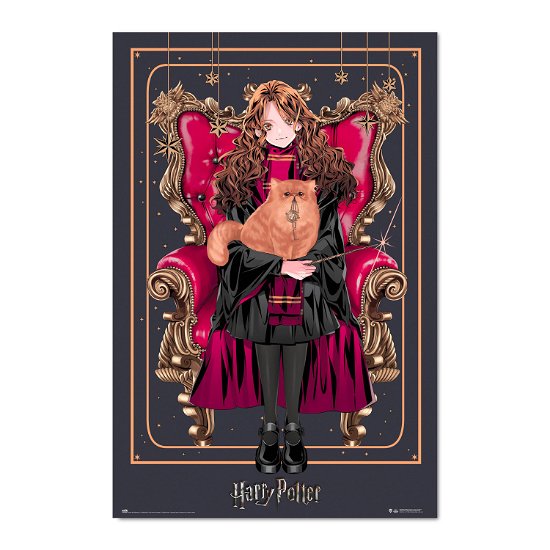 Cover for TShirt · HARRY POTTER - Wizard Dynasty Hermione Granger - P (MERCH)