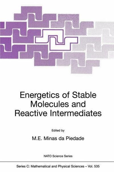 M E Minas Da Piedade · Energetics of Stable Molecules and Reactive Intermediates - NATO Science Series C (Hardcover Book) [1999 edition] (1999)