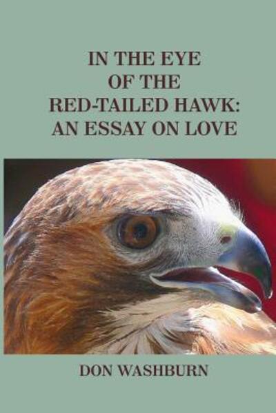 Cover for Don Washburn · In the Eye of the Red-Tailed Hawk (Paperback Book) (2009)