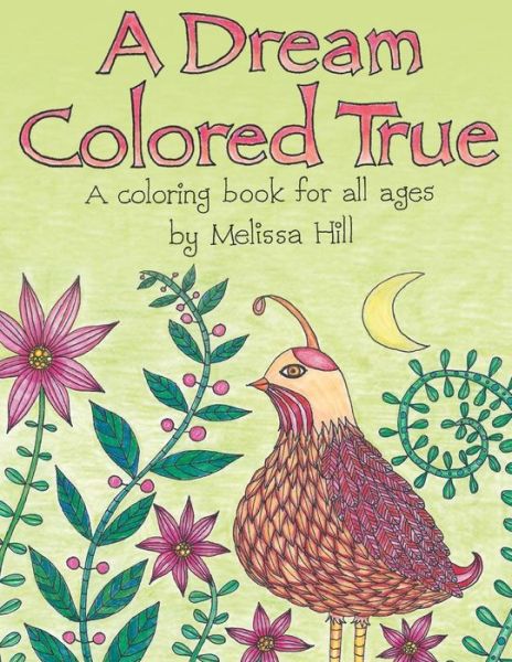 Cover for Melissa Hill · A Dream Colored True (Paperback Book) (2017)