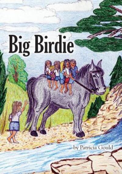 Cover for Patricia Gould · Big Birdie (Pocketbok) (2018)