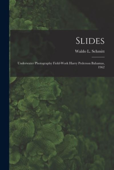 Cover for LLC Creative Media Partners · Slides (Paperback Book) (2021)