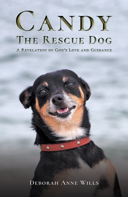 Deborah Anne Wills · Candy the Rescue Dog: A Revelation of God’s Love and Guidance (Pocketbok) (2024)