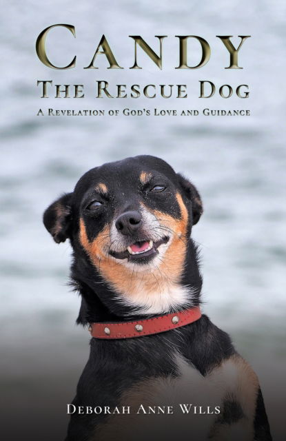 Cover for Deborah Anne Wills · Candy the Rescue Dog: A Revelation of God’s Love and Guidance (Paperback Book) (2024)