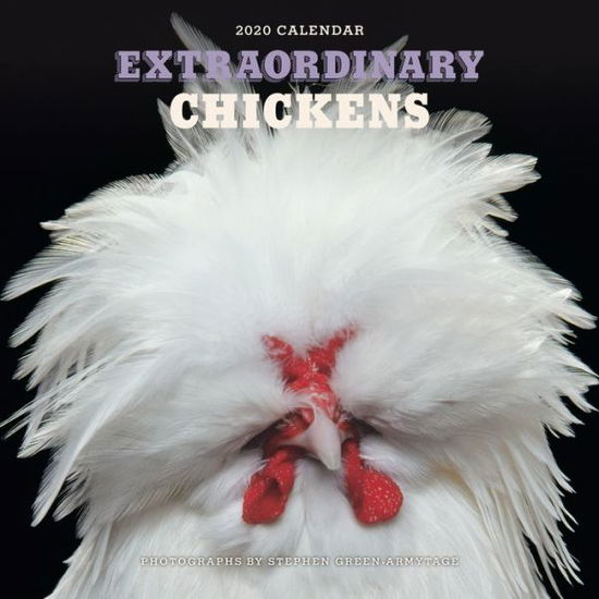 Cover for Stephen Green-Armytage · Extraordinary Chickens 2020 Wall Calendar (Calendar) (2019)