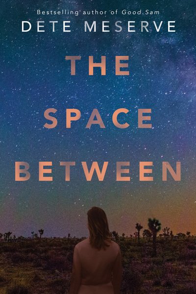 Cover for Dete Meserve · The Space Between (Taschenbuch) (2018)