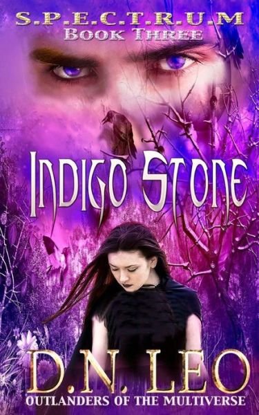 Cover for D N Leo · Indigo Stone (Spectrum Series - Book 3): Outlanders of the Multiverse (Paperback Book) (2015)