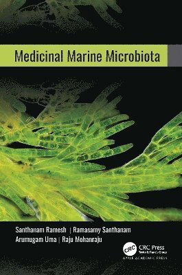 Cover for Medicinal Marine Microbiota (Hardcover Book) (2024)