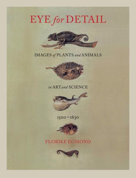 Cover for Florike Egmond · Eye for Detail: Images of Plants and Animals in Art and Science, 1500-1630 (Hardcover Book) (2016)