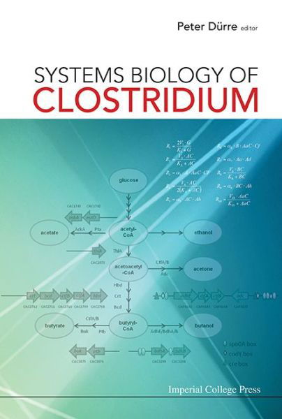 Cover for Systems Biology Of Clostridium (Hardcover Book) (2014)