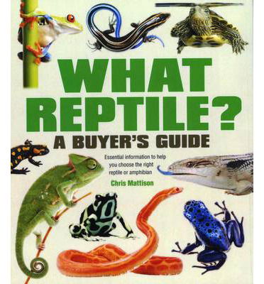 Cover for Chris Mattison · What Reptile? A Buyer's Guide: Essential Information to Help You Choose the Right Reptile or Amphibian - What? (Paperback Book) (2013)